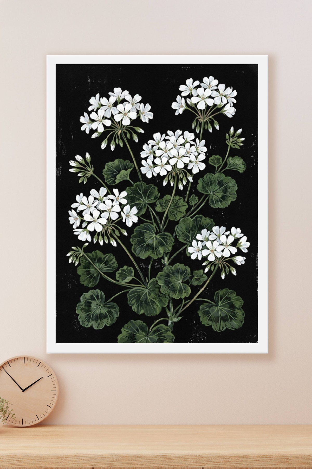 Affiche de Géraniums blancs, poster fleurs blanches