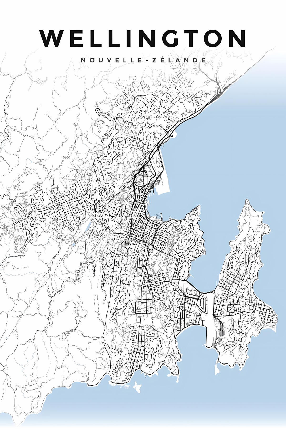 Poster de Wellington, plan de ville noir et blanc